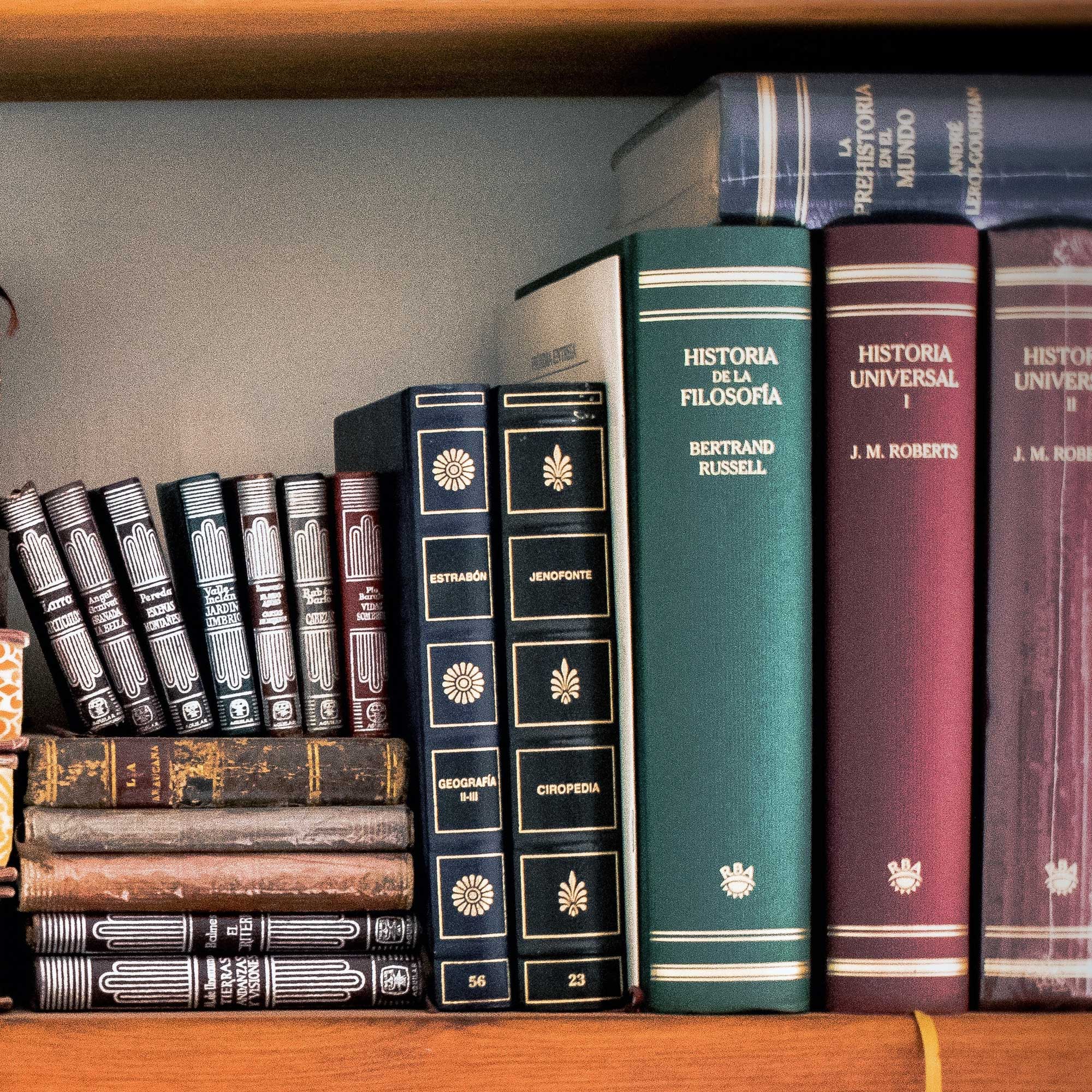 Imagen de unos libros apilados en una estantería.